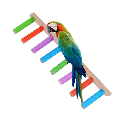 Eventerde Nymphensittich Spielzeug,Schwingendes Vogelspielzeug Aus Naturholz Für Käfige | Robustes Multifunktions-Krallenpflege-Spielzeug Mit Interaktivem Käfigzubehör Für Wellensittiche, Sittiche Und von Eventerde