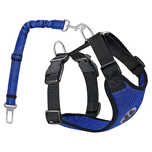 EverGreenPro Hundegeschirr Brustgeschirr Sicherheitsgeschirr Geschirr für kleine mittelgroße Hunde atmungsaktiv weich gepolstert reflektierend mit Hundeleine EverGreenPro Hundegeschirr Brustgeschirr Sicherheitsgeschirr Geschirr für kleine mittelgroße Hunde atmungsaktiv weich gepolstert reflektierend mit Hundeleine von EverGreenPro