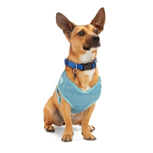 EveryYay Heather Pullover Hundegeschirr, Blaugrün, Größe S EveryYay Heather Pullover Hundegeschirr, Blaugrün, Größe S von EveryYay