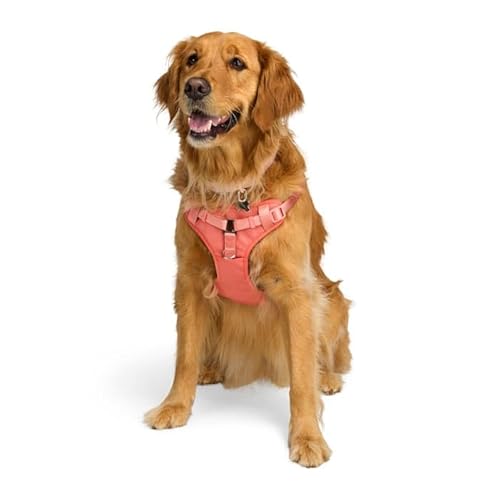 EveryYay Step in Hundegeschirr, Rosa, Größe S EveryYay Step in Hundegeschirr, Rosa, Größe S von EveryYay