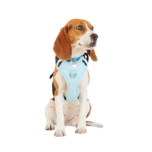 Petco Brand – EveryYay Hundegeschirr, für Crash-Test, Größe S, Blaugrün von EveryYay