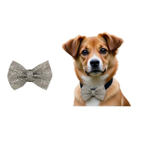 Festliche Fliege für Hunde, Haustierhalsband-Zubehör, abnehmbar (Strass, klein) von Everything Chic