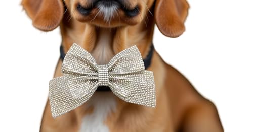 Hundefliege mit Strasssteinen – luxuriöses glitzerndes Haustierzubehör mit klaren Kristallen, verstellbare Schleife für kleine, mittelgroße und große Hunde – perfekt für Hochzeiten, Ringträger, Urlaub von Everything Chic