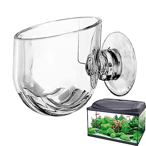 Acryl-Wasserpflanzentopf | Aquarium Wasserpflanzenbecher | Transparenter Mehrzweck-Pflanzenbecher | Elegantes Dekorationswerkzeug Für Salzwasser- Und Süßwasseraquarien von EviKoo