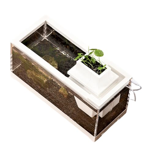 EviKoo Desktop-Aquarium, Desktop-Aquarium | Transparentes Niederspannungs-Tischaquarium, leise | Beleuchtetes -Aquarium, auslaufsicher für Schlafzimmer, Regale, Wohnzimmer, Schreibtische von EviKoo