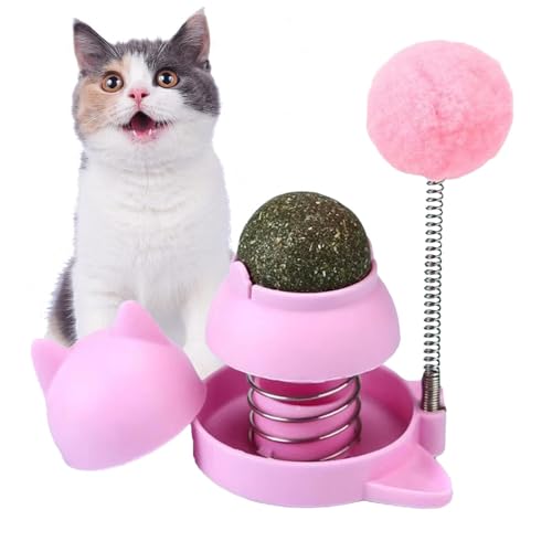 EviKoo Katzenfederspielzeug Bälle Glocke | Katze Zähne Reinigung Ball Leckerlis | Katzenminze Blasen Leckables für Katzen | Mint Ball Drehbar Katzenminze Ball Spielzeug für Katze von EviKoo