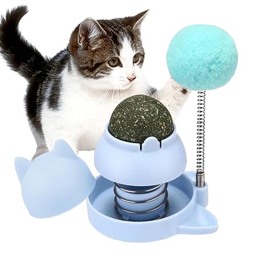EviKoo Katzenfederspielzeug Bälle Glocke | Katze Zähne Reinigung Ball Leckerlis | Katzenminze Blasen Leckables für Katzen | Mint Ball Drehbar Katzenminze Ball Spielzeug für Katze von EviKoo