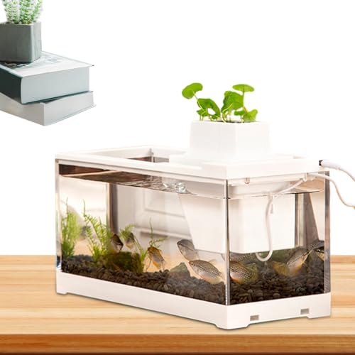 EviKoo Schreibtisch-Aquarium, Aquarium | Niederspannungs-Leises Tischaquarium mit Wasserpumpe | Beleuchtetes -Aquarium, große Öffnung, auslaufsicher, für Schlafzimmer, Tische, Schreibtische, von EviKoo