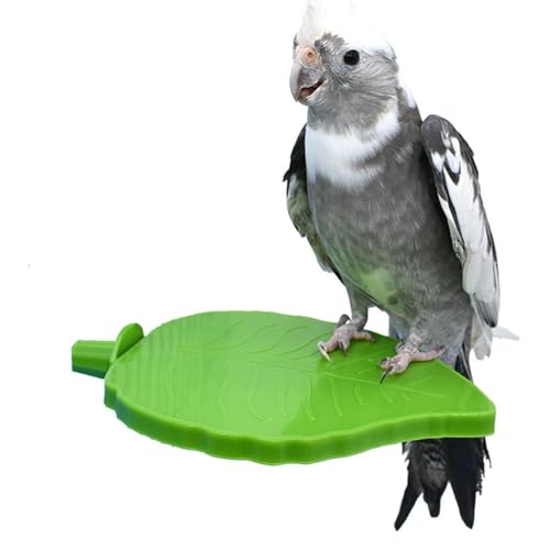 Vogel-Plattform in Blattform, flache Eckstange für Papageien, Papageien-Sitzstange, Spielzeug für Nymphensittiche, Wellensittiche, Heckenschwein, Finken von EviKoo