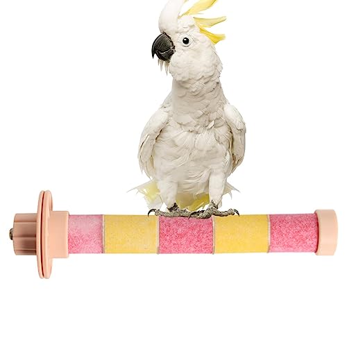 Vogel stehender Stab - Schleifstange für Papageienkäfig | Trainingsspielzeug mit eingebautem Metallkern für Parakiten, Wellenblätter, Lovebirds, mittelgroße Papageien, Hähne Evikoo von EviKoo