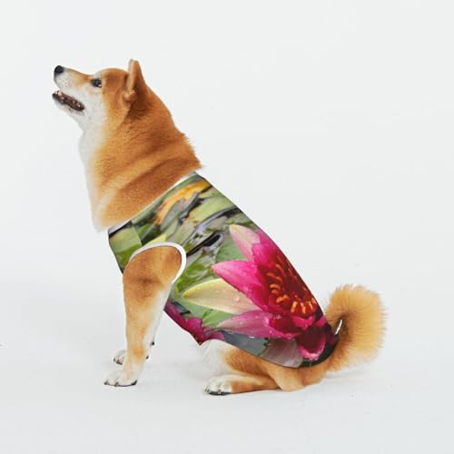 Lotus Blume Haustier Katze Hund Shirt Baumwolle T-Shirt Haustier Weihnachten Pullover Weich Bequem Baumwolle Pyjama Haustier Katze Junge Hund Dress Up Kostüme Lotus Blume Haustier Katze Hund Shirt Baumwolle T-Shirt Haustier Weihnachten Pullover Weich Bequem Baumwolle Pyjama Haustier Katze Junge Hund Dress Up Kostüme von Evius