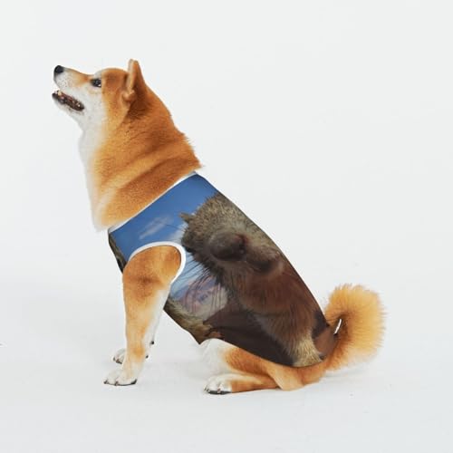 Maus Haustier Katze Hund Shirt Baumwolle T-Shirt Haustier Weihnachten Pullover Weich Bequem Baumwolle Pyjama Haustier Katze Junge Hund Dress Up Kostüme Maus Haustier Katze Hund Shirt Baumwolle T-Shirt Haustier Weihnachten Pullover Weich Bequem Baumwolle Pyjama Haustier Katze Junge Hund Dress Up Kostüme von Evius