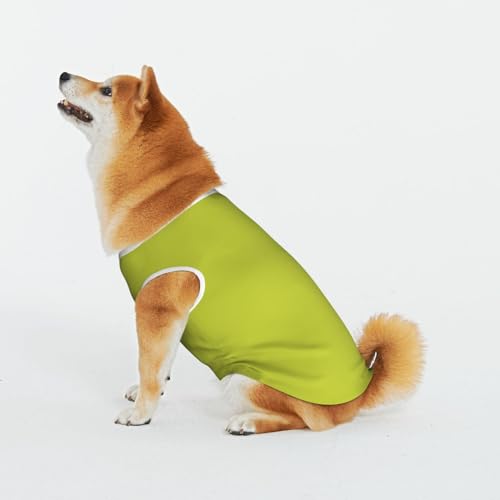 Oliveganlan T-Shirt für Haustiere, Katze, Hund, Baumwolle, weich, bequem, Baumwolle, Pyjama, Haustier, Katze, junger Hund, Kostüme, Gelb / Grün Oliveganlan T-Shirt für Haustiere, Katze, Hund, Baumwolle, weich, bequem, Baumwolle, Pyjama, Haustier, Katze, junger Hund, Kostüme, Gelb / Grün von Evius