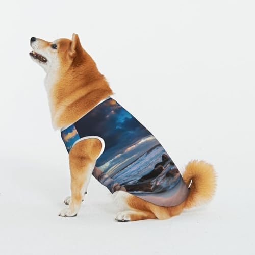 Schöne Sonnenaufgang Auf Meer Haustier Katze Hund Shirt Baumwolle T-Shirt Haustier Weihnachten Pullover Weich Bequem Baumwolle Pyjama Haustier Katze Junge Hund Dress Up Kostüme Schöne Sonnenaufgang Auf Meer Haustier Katze Hund Shirt Baumwolle T-Shirt Haustier Weihnachten Pullover Weich Bequem Baumwolle Pyjama Haustier Katze Junge Hund Dress Up Kostüme von Evius