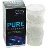 Unique Koi Pure REEF balance Unique Koi Pure REEF balance von Unique Koi