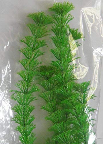 Evolution Kunststoffpflanze Egeria densa 35 cm grün/Wasserpflanze Aquarium Künstliche Pflanze von Evolution