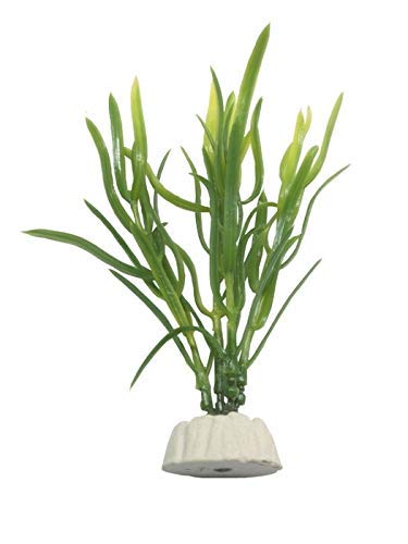 Kunststoffpflanze Eleocharis sp. yellow 10cm / Wasserpflanze Aquarium Künstliche Pflanze von Evolution