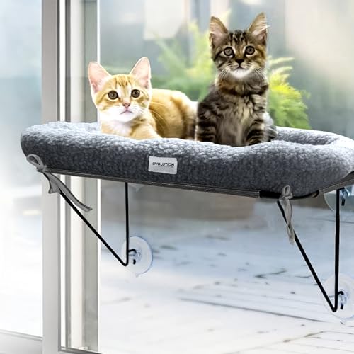 EvolutionUSA Katzen-Sitzstange – bequeme Katzenhängematte für Fenster, ideales Katzenfensterbett zum Betrachten, weiche Fensterstange für Katzen, sichere Katzenfensterstange für große Katzen, EvolutionUSA Katzen-Sitzstange – bequeme Katzenhängematte für Fenster, ideales Katzenfensterbett zum Betrachten, weiche Fensterstange für Katzen, sichere Katzenfensterstange für große Katzen, von EvolutionUSA