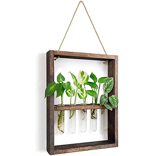 Evvmnaks Wandmontierte hängende Pflanzen Reagenzglas Blumenknospe Glas Terrarium Holzrahmen für Haus Garten Hochzeit Dekoration von Evvmnaks