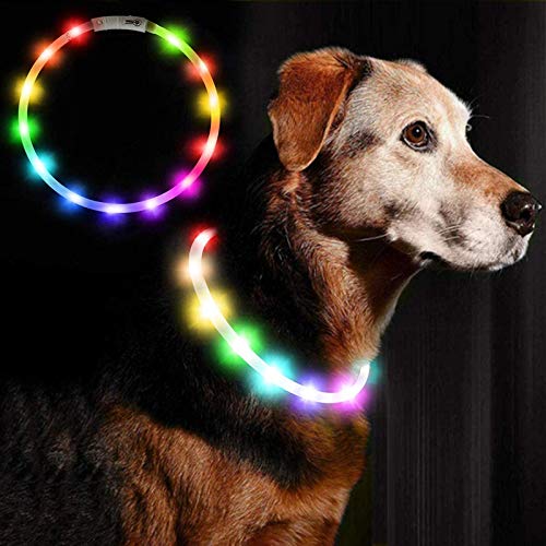 Ewolee Hundehalsband, LED Leuchthalsband USB Wiederaufladbares Blinkhalsband, Längenverstellbareres und Wasserdichtes Hunde Halsband für Hunde und Katzen, 70cm (Sieben Farben) von Ewolee