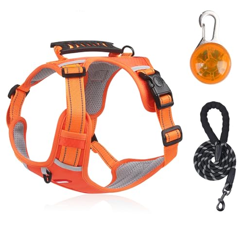 Exclent Reflektierendes Hundegeschirr mit Leine, gelb, verstellbarer Brustgurt aus Netzgewebe, rutschfestes Design für kleine, mittelgroße Hunde, Sicherheit bei Nacht (orange) von ExcLent