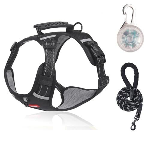 Exclent Reflektierendes Hundegeschirr mit Leine, gelb, verstellbarer Brustgurt aus Netzstoff, rutschfestes Design für kleine und mittelgroße Hunde, Sicherheit bei Nacht (schwarz) von ExcLent