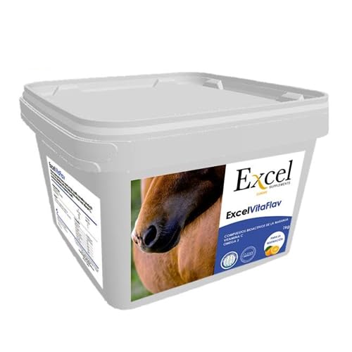 Excel Supplements VitaFlav 1Kg - Atemergänzungsmittel für Pferde Vitamin C Verbessert die Atmung von Pferden - Pferdezulage Atemergänzung - Pferdepflege - Erhöht die Leistung der Pferde von Excel Supplements Europe