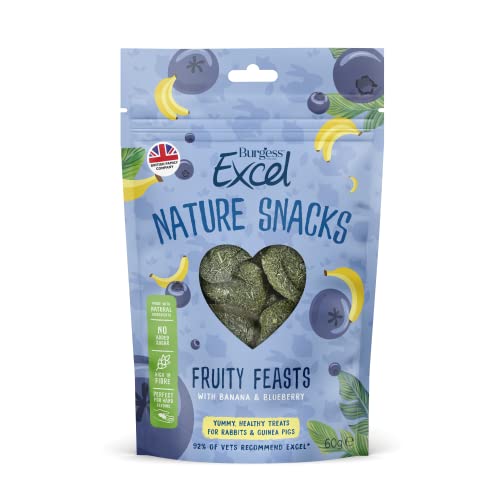 Burgess Excel Fruity Feasts Leckerlis für Kaninchen und Meerschweinchen, 60 g von Excel