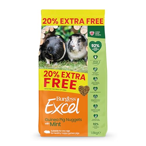 Burgess Excel Meerschweinchenfutter mit Minze, 1,8 kg – Meerschweinchen-Nuggets für ausgewachsene Meerschweinchen – Ballaststoffreich, Minze Meerschweinchen-Pellets Burgess Excel Meerschweinchenfutter mit Minze, 1,8 kg – Meerschweinchen-Nuggets für ausgewachsene Meerschweinchen – Ballaststoffreich, Minze Meerschweinchen-Pellets von Excel