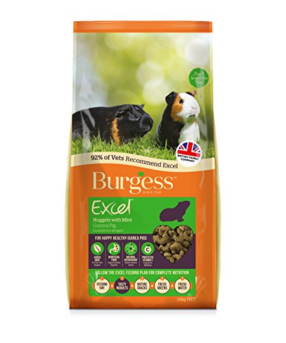 Burgess Excel Pellets mit Minze für Meerschweinchen, 10 kg von Excel