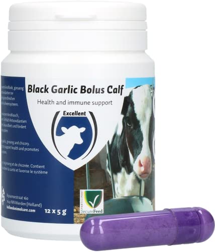 Excellent Black garlic bolus kalf von Excellent