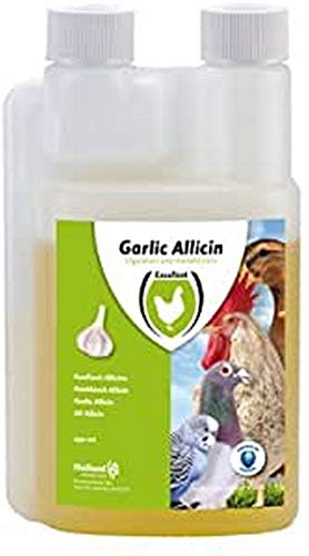 Excellent Garlic Allicin - 250 ml von Excellent