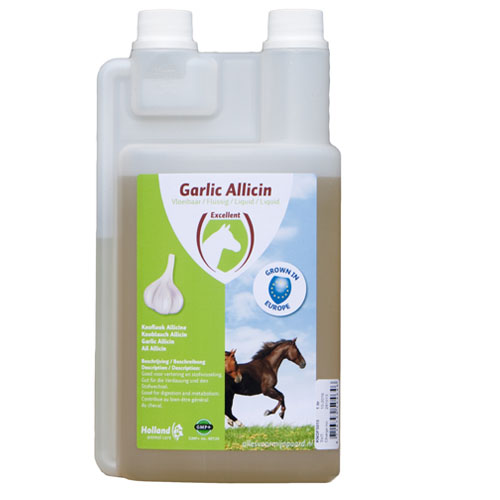 Excellent Garlic Allicin Liquid - 1 Liter von Excellent