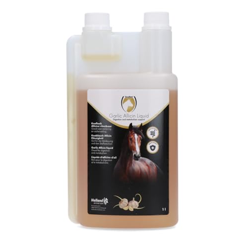 Excellent Garlic Allicin Liquid - 1L von Excellent