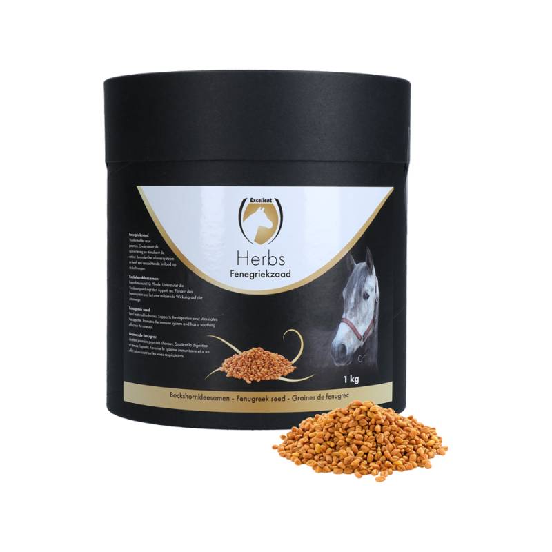 Excellent Horse Herbs Bockshornkleesamen - 1 kg von Excellent