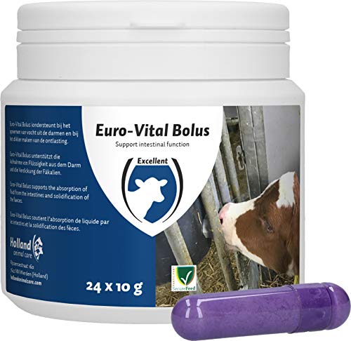 Excellent Bolus Euro-Vital Gesundheitszubehör von Excellent