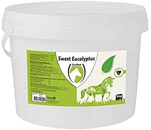 Sweet Eucalyptus Blocks - 3 kg von Excellent