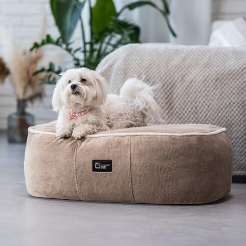 exclusive BED Anti-Stress Hundekissen Kissen Sky Grosse Mittelgroße Kleine Hunde - Hundebett Hundematte aus Sorisso-Stoff - Komfortabel Weich Abriebfest Reißfest (XXL | 120x90x25cm, Cappuccino) von exclusive BED