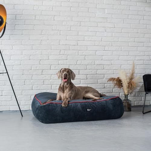 exclusive BED Anti-Stress Hundekissen Kissen Sky Grosse Mittelgroße Kleine Hunde - Hundebett Hundematte aus Sorisso-Stoff - Komfortabel Weich Abriebfest Reißfest (XXL | 120x90x25cm, Dunkelblaugrau) von exclusive BED