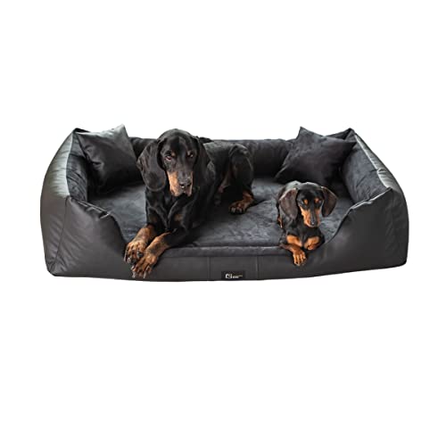 exclusive BED Orthopädisches Hundebett Eden Grosse Mittelgroße Kleine Hunde - Hundekissen Hundematte aus Öko-Leder + Alcantara-Stoff - Schmerzlindernd Abriebfest Reißfest (L, Schwarz) von exclusive BED