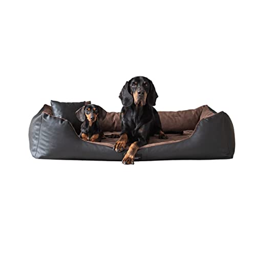 exclusive BED Orthopädisches Hundebett Eden Grosse Mittelgroße Kleine Hunde - Hundekissen Hundematte aus Öko-Leder + Alcantara-Stoff - Schmerzlindernd Abriebfest Reißfest (L, Schwarz-braun) von exclusive BED