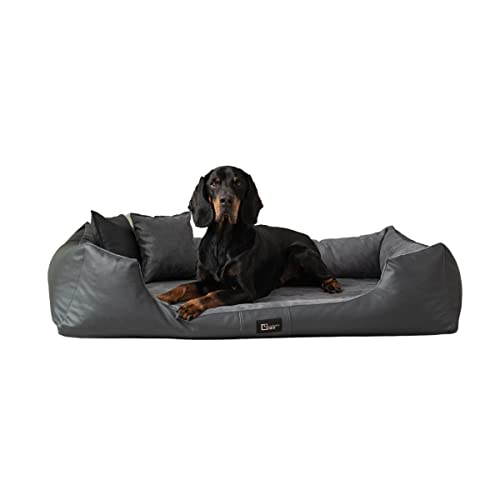 exclusive BED Orthopädisches Hundebett Eden Grosse Mittelgroße Kleine Hunde - Hundekissen Hundematte aus Öko-Leder + Alcantara-Stoff - Schmerzlindernd Abriebfest Reißfest (XL, Grau) von exclusive BED