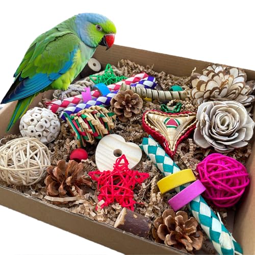 ExcyphrXyf Vogelfutter- und Vogelschredderspielzeug, natürliches Kau- und Futterspielzeug für Nymphensittiche, Sittiche, Sittiche, Liebesvögel und kleine bis mittelgroße Papageien von ExcyphrXyf
