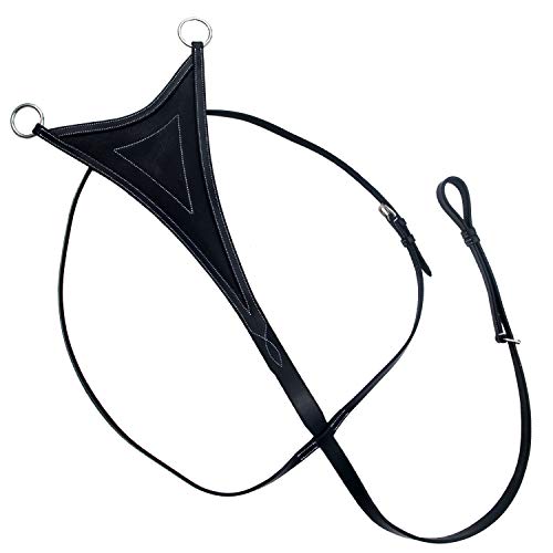 EXION Weiches Lätzchen Running Martingale für Pferde - Verstellbarer Laufaufsatz aus Leder zum Springen & Training - pflanzlich gegerbtes Leder | Schwarz, Braun, Eiche | Pony, Cob, Full, Oversize EXION Weiches Lätzchen Running Martingale für Pferde - Verstellbarer Laufaufsatz aus Leder zum Springen & Training - pflanzlich gegerbtes Leder | Schwarz, Braun, Eiche | Pony, Cob, Full, Oversize von ExionPro