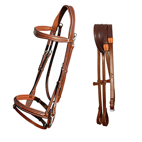 Exion weich gefüttertes Kronenstück, Stirnband, Nasenband, englisches Springen, Schnappzaumzeug für Pferde, mit Gummizügel, Conker, Full von ExionPro