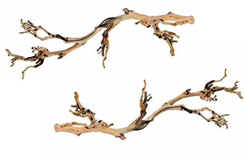 Exo Terra (2 Pack) Forest Zweige, groß von Exo Terra