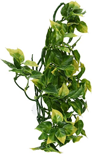 Exo Terra 544190 Terrarium Plant Amapallo Shrub Plastic, Medium von Hagen