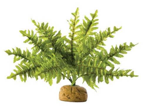 Exo Terra Boston Farn, künstliche naturgetreue Pflanze für Terrarien, ideal für Regenwaldterrarien, klein von Exo Terra