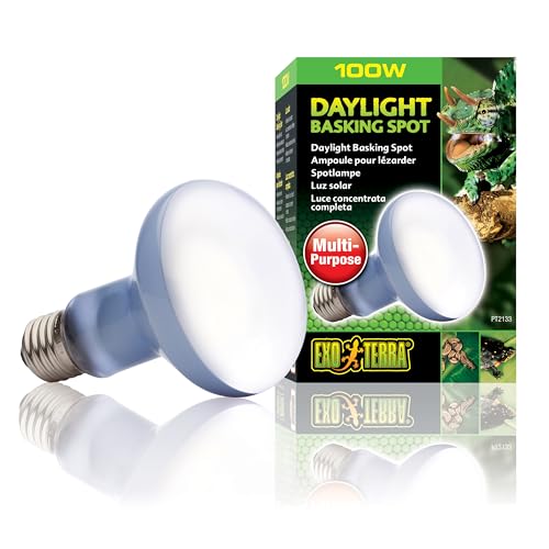 Exo Terra Tageslichtlampe mit Sonnenstrahl, 100 W von Exo Terra