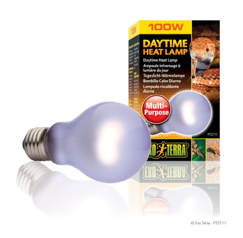 Exo Terra Daytime Heat Lamp, Breitspektrum Tageslichtlampe, A19, 100W, Fassung E27, Metallisch Exo Terra Daytime Heat Lamp, Breitspektrum Tageslichtlampe, A19, 100W, Fassung E27, Metallisch von Hagen